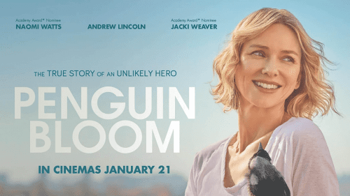 Critique « Penguin Bloom, l’oiseau guérisseur » (2020) : Une vie suspendue à un battement d’aile ! - ScreenTune