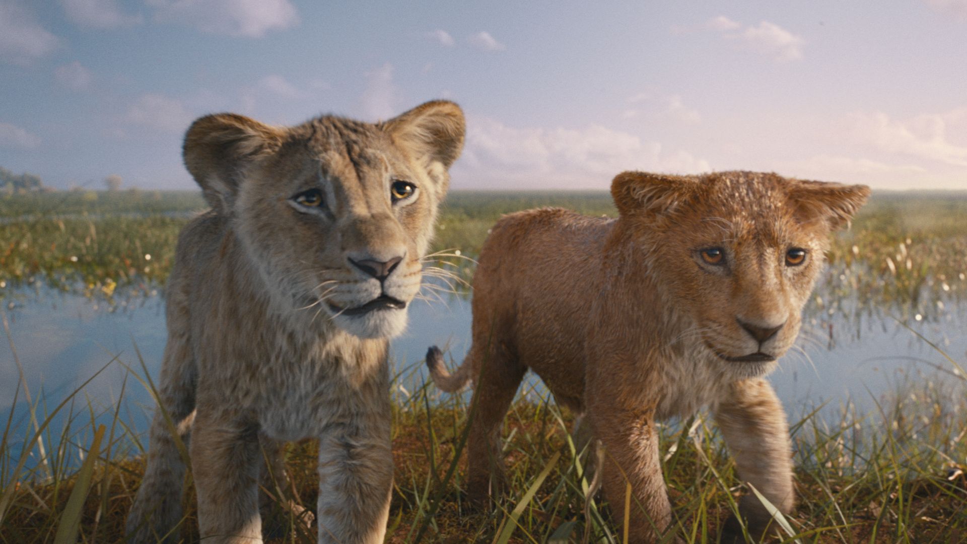 Critique « MUFASA Le Roi Lion » (2024)